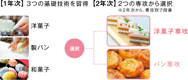 1年次製菓製パン基礎、2年次選択(洋菓子専攻、パン専攻、洋菓子・パン専攻)3つの専攻から選べます